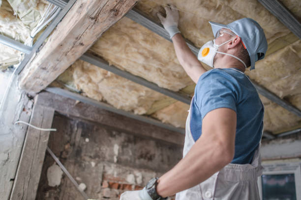 Professional Insulation Contractor in Nevada, IA