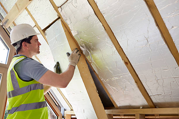 Best DIY Insulation Kits and Guidance in Nevada, IA