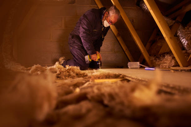Best Specialized Insulation Services in Nevada, IA